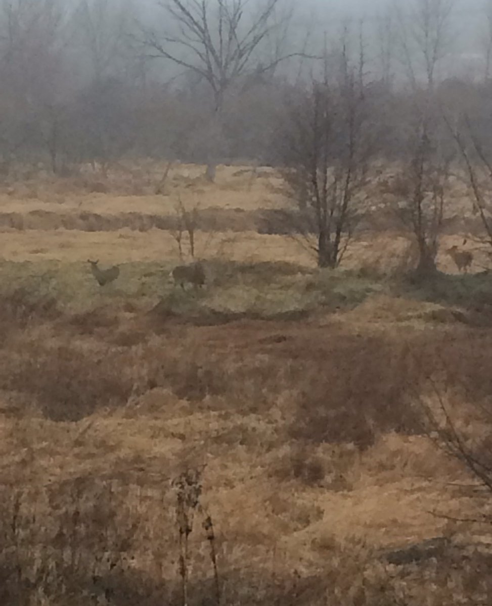 A day on the prairie